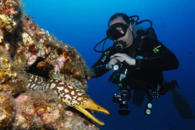 S Tenerife: Guided Boat Dive for Qualified Divers - The Los Cristianos harbour transfer and the short boat hop