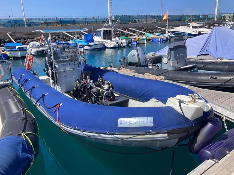 S Tenerife: Guided Boat Dive for Qualified Divers - Who this is best for in South Tenerife