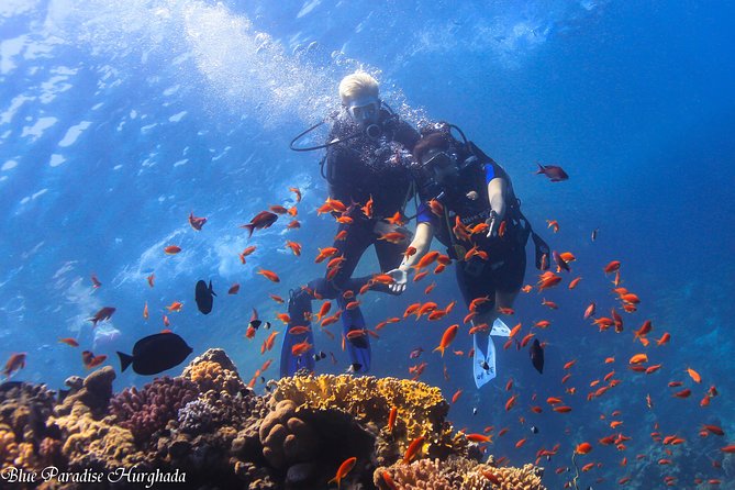 Safe Try dive-Personal instructor, 1:1 experience, Top boat - First things first: the “try scuba” day you’ll actually enjoy