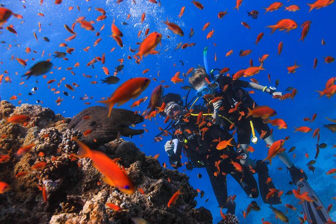 Safe Try dive-Personal instructor, 1:1 experience, Top boat - Equipment and guidance: what “all provided” means for you