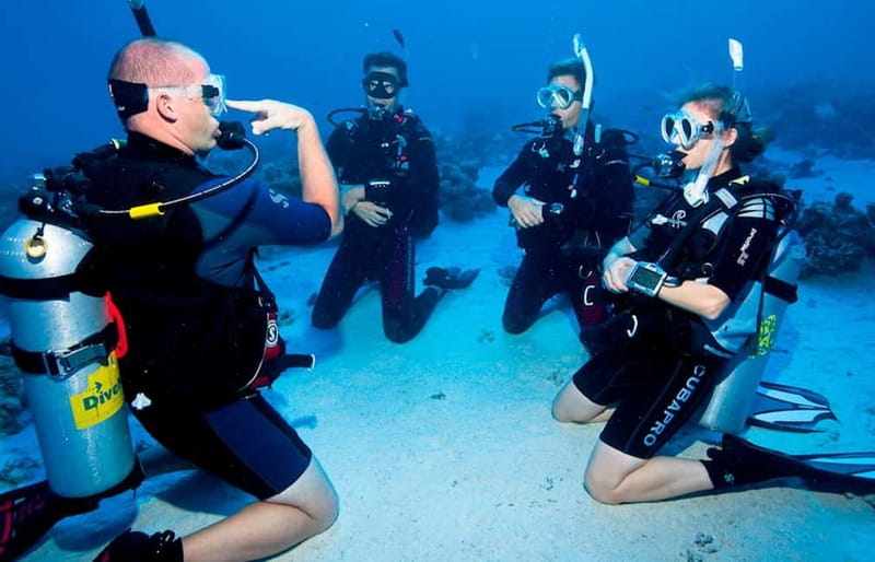 Salou: Fun Scuba Dive with Instructor (No License Needed) - First-time scuba in Salou, guided end-to-end