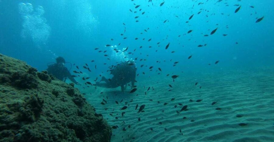 Salou: Scuba Diving for Beginners - Why Salou’s beach-first plan is perfect for first-time scuba students