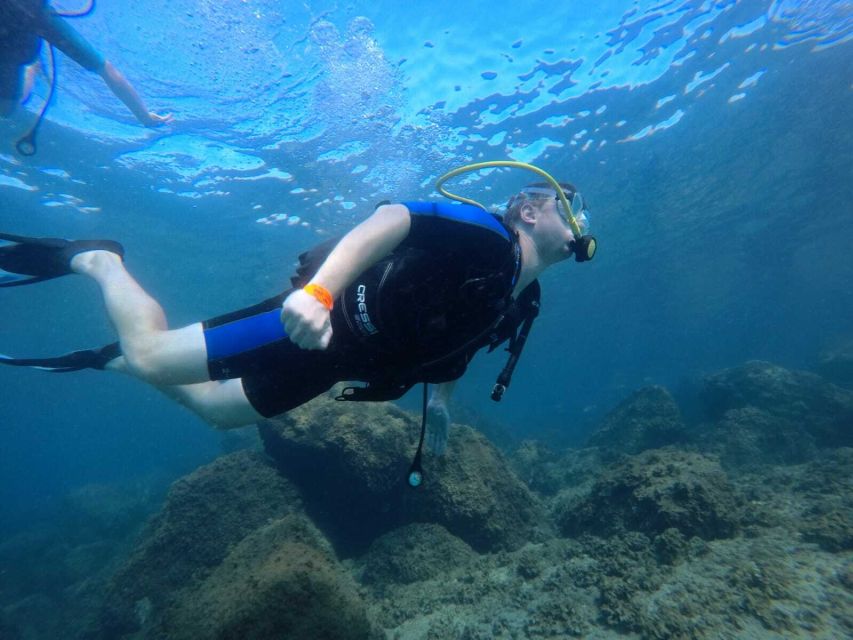 Salou: Scuba Diving for Beginners - From hotel pickup to a calm shoreline, here’s how the 1.5 hours works