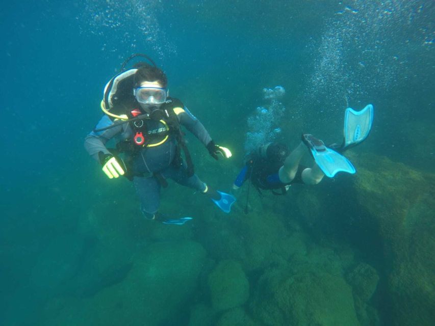 Salou: Scuba Diving for Beginners - Who should book this beginner scuba experience (and who shouldn’t)