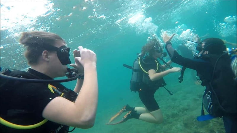 Salou: Scuba Diving for beginners with hotel pickup - Cabo de Salou Coves: Where You’ll See Marine Life