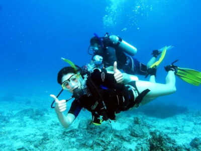 Salou: Scuba Diving for beginners with hotel pickup - Salou Beach Club Training: What You’ll Learn Before Going In Water