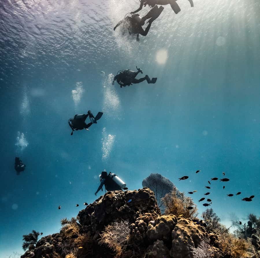 San Andres: Scuba Diving Experience with Hotel Pickup - Key things that make this San Andrés underwater session work