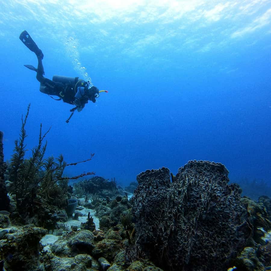 San Andres: Scuba Diving Experience with Hotel Pickup - Hotel pickup that actually saves your day on San Andrés
