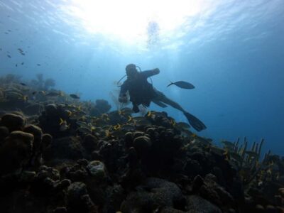 San Andres: Scuba Diving Experience with Hotel Pickup - From the shop to the pool skills: what the first briefing covers