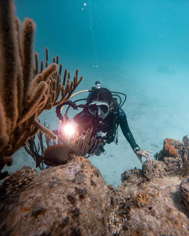 San Andres: Scuba Diving Experience with Hotel Pickup - Why the underwater museum makes this feel different