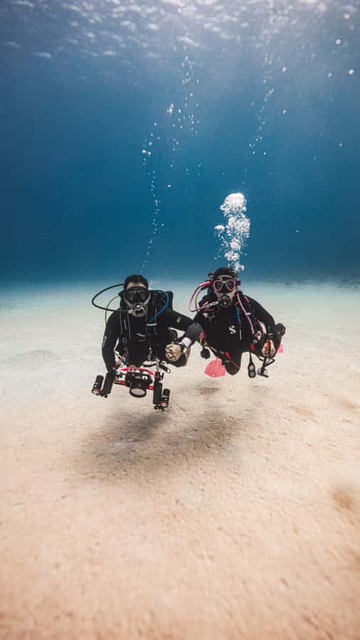 San Andres: Scuba Diving Experience with Hotel Pickup - Price and value: what $50 really covers (and what might cost extra)