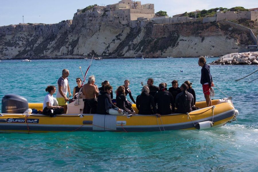 San Domino, Tremiti: try scuba, first diving experience - Underwater in a protected marine area: what you’ll actually do