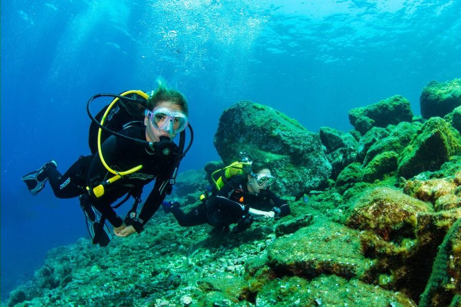 Santa Cruz de Tenerife: Beginner's Diving & Introduction - Key things that make this try dive work so well
