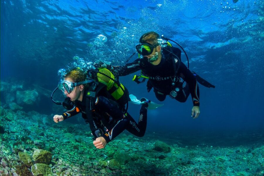 Santa Cruz de Tenerife: Beginner's Diving & Introduction - A 3-hour Santa Cruz try dive for brand-new scuba fans