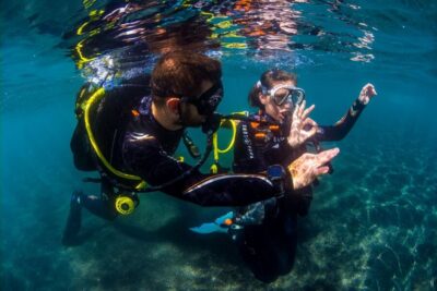 Santa Cruz de Tenerife: Beginner's Diving & Introduction - Meet Macaronesian Divers and get kitted out without the hassle