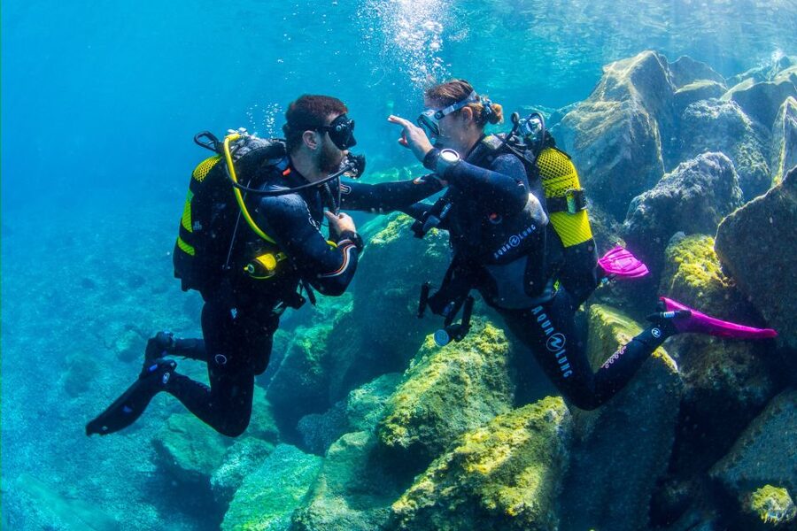 Santa Cruz de Tenerife: Beginner's Diving & Introduction - Planning your day in Santa Cruz so it feels easy