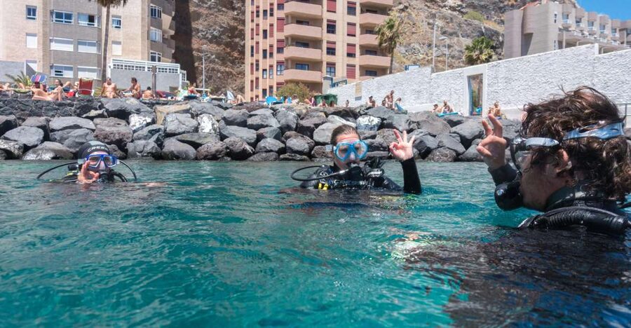 Santa Cruz de Tenerife: PADI Introductory Dive - The 30-minute safety briefing: the part that makes the rest feel easier