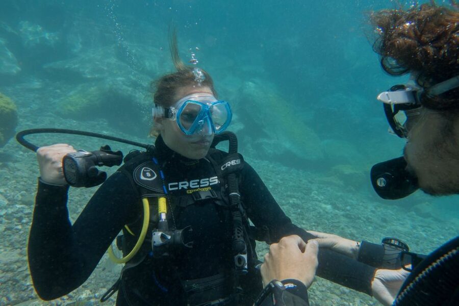 Santa Cruz de Tenerife: PADI Introductory Dive - Back on shore: talking through what you saw