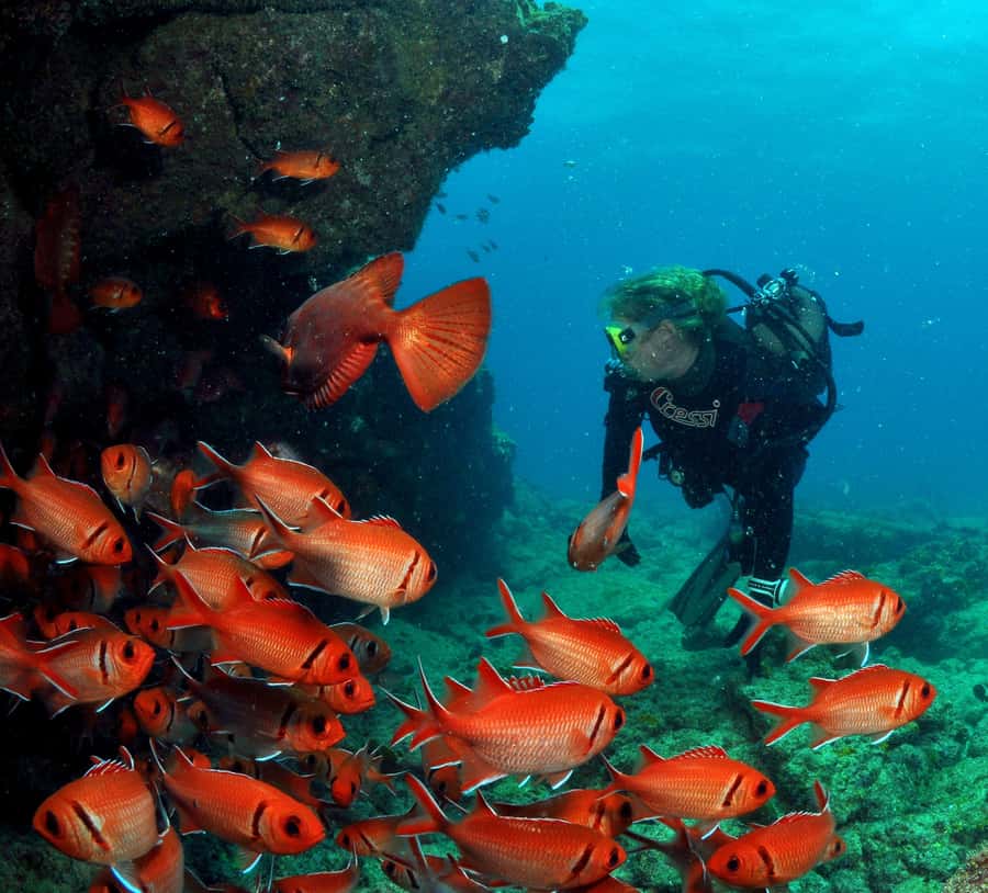 Santa Maria: Discover Scuba Diving - Quick hits you’ll care about