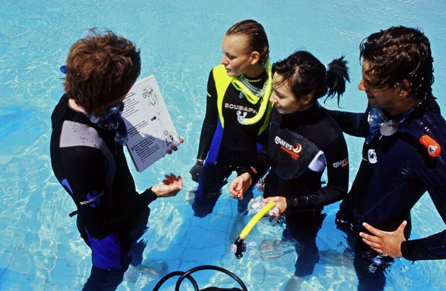 Santa Maria: Discover Scuba Diving - What You Might See: Wrecks, Caves, Reefs, and Cape Verde Wildlife