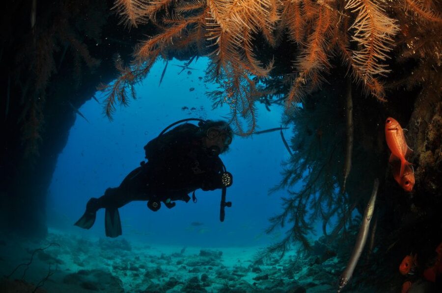 Santa Maria: Half-Day Diving Trip in Sal with Pickup - Gear and safety: what’s provided, what you bring, and what rules matter