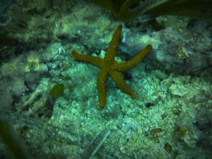 Santa Pola: 3-Hour Scuba Diving near Tabarca - Santa Pola and Tabarna: Why This Area Works for First-Timers