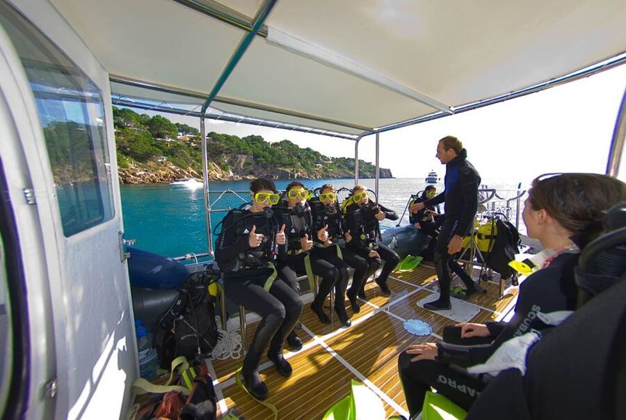 Santa Ponsa: Try Scuba Diving in a Marine Reserve - The underwater experience in the marine reserve (max 6 meters)