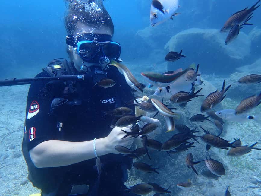Santorini: Scuba Diving - Key things to know before you go