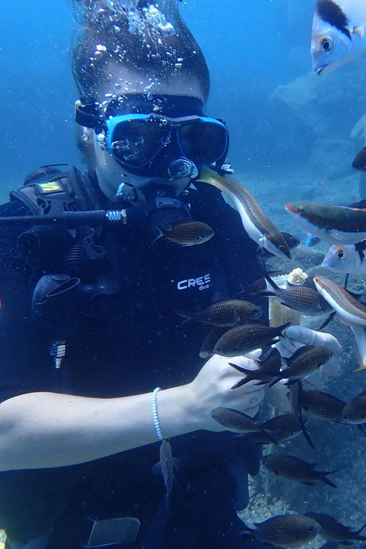 Santorini: Scuba Diving - Marine Life Focus: What You’ll Actually Notice
