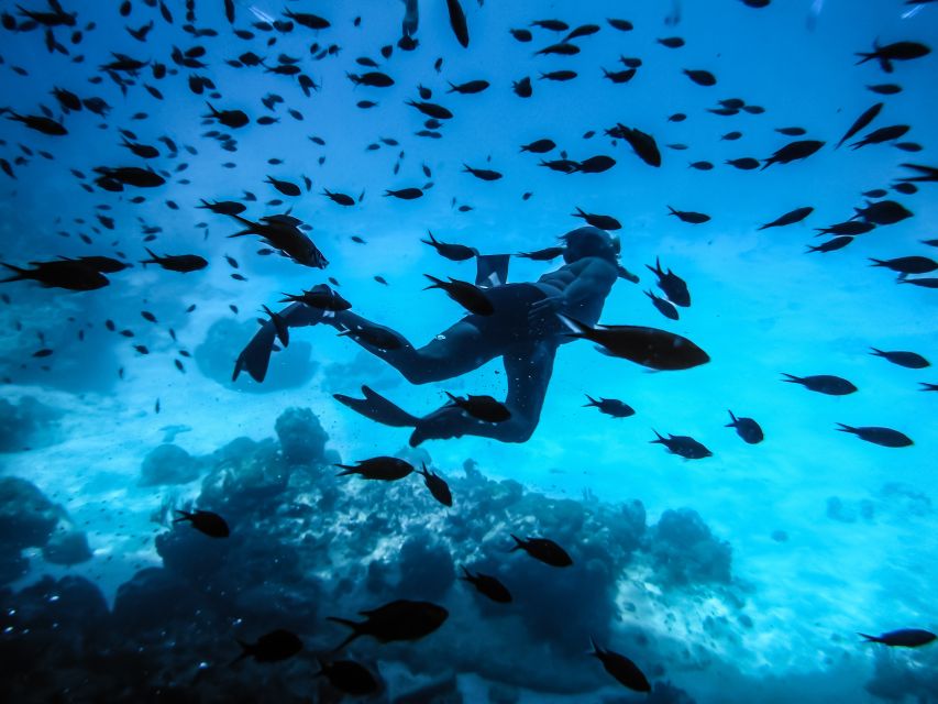 Santorini: Scuba Diving Experience for Beginners - Why Armeni Bay is a smart choice for first-time scuba breathing