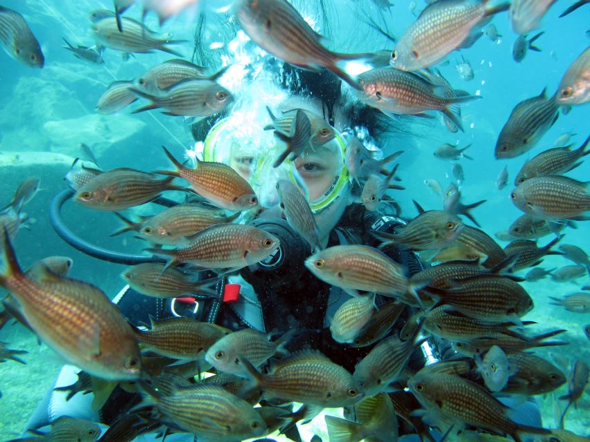 Santorini: Scuba Diving Experience for Beginners - Safety limits and who should skip this session