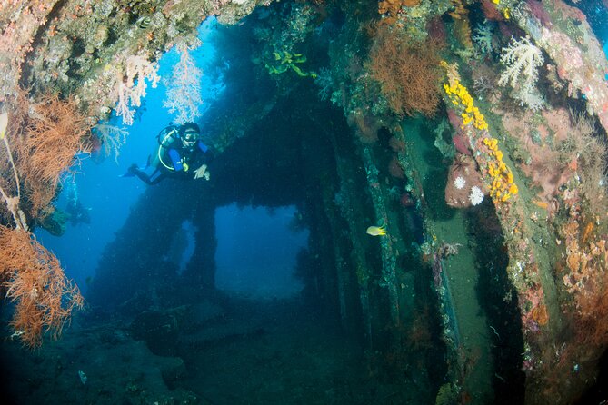 Sanur Open Water Course learn diving in 3 Days - Get certified & Dive everywhere - Is $480 Good Value for a 3-Day PADI Open Water Course?