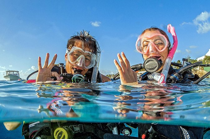 Saona Diving - The instructor factor: small group guidance that actually helps