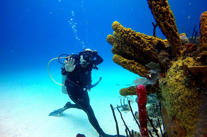 Saona Diving - Equipment and double tanks: how that affects your day