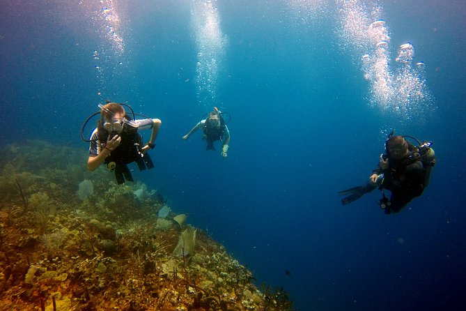 Saona Diving - What’s included: gear, beverages, and the stuff that keeps the day smooth