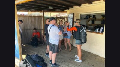 Sardinia, La Maddalena Archipelago: First Dive Experience - Palau Start Point and the Olbia Connection (45 Minutes)