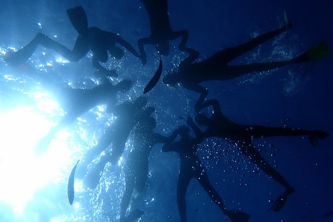 Scuba Adventure – 2 Guided Dives from Our Boat in Tenerife - Underwater session #1: volcanic reefs, rocky structure, and animal chances