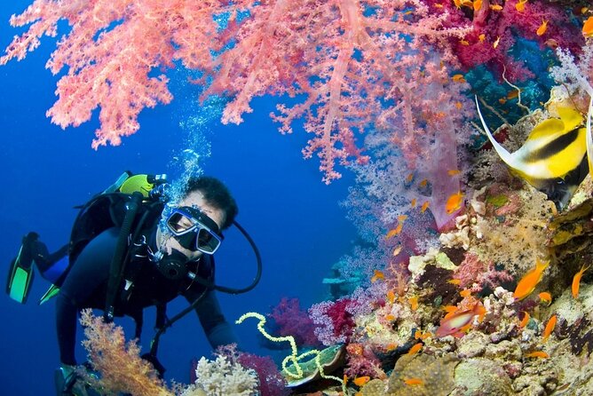 Scuba Beginner Diving and Snorkeling with Lunch From Hurghada - Pickup and the ride to the water: mostly easy, with a couple fees to watch