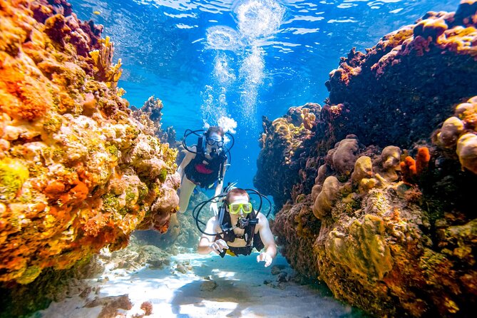 Scuba Beginner Diving and Snorkeling with Lunch From Hurghada - Who this Hurghada experience fits best