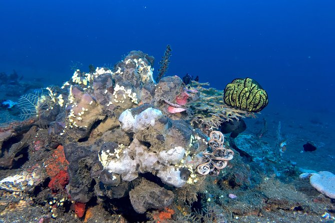 Scuba Certification - Price and value: is $567.75 a fair deal for three days?
