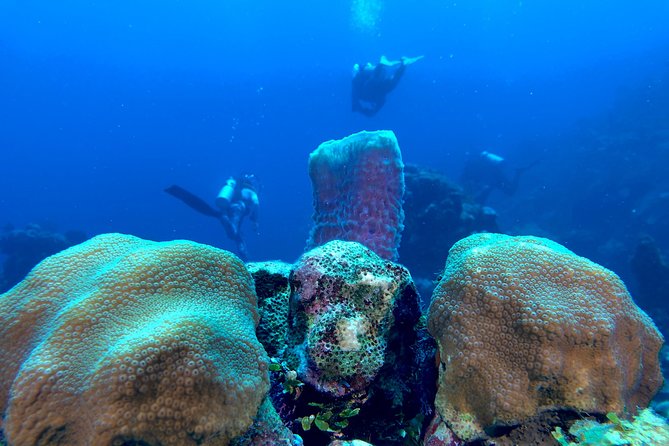 Scuba Certification - Who should book this course, and who should pause