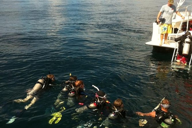 Scuba Certification - Timing, weather, and group size: what to expect on the calendar
