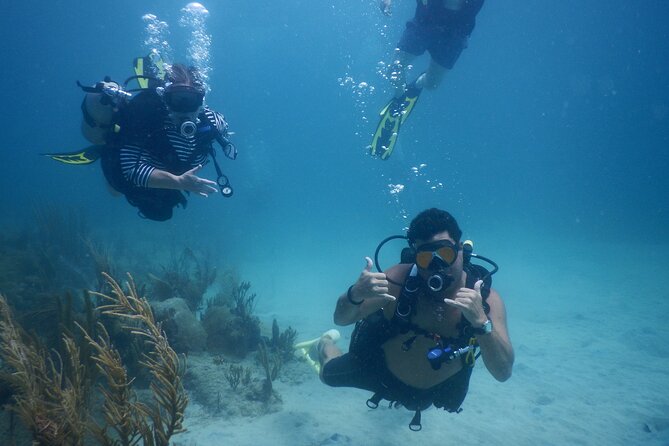 Scuba Dive and Snorkel Private Charter in Puerto Rico - Key highlights to know before you go