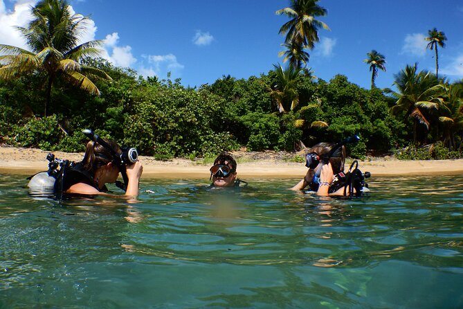 Scuba Dive and Snorkel Private Charter in Puerto Rico - Price and what you’re really paying for (up to 6 people)