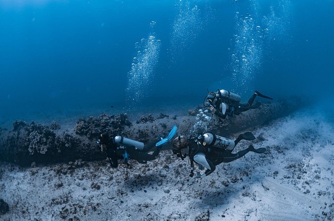 Scuba Dive at Electric Beach - The Electric Beach water time: turtles, rays, lava arches, and fish schools
