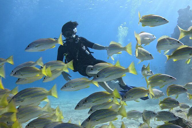 SCUBA Dive at Electric Beach with Photos -No Certification Needed - Electric Beach to Kahe Point: Where This First-Time Scuba Session Works