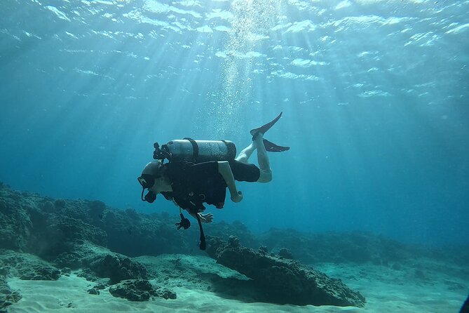 SCUBA Dive at Electric Beach with Photos -No Certification Needed - The 2-Hour Flow: Safety Briefing, One-on-One Skills, Reef Time