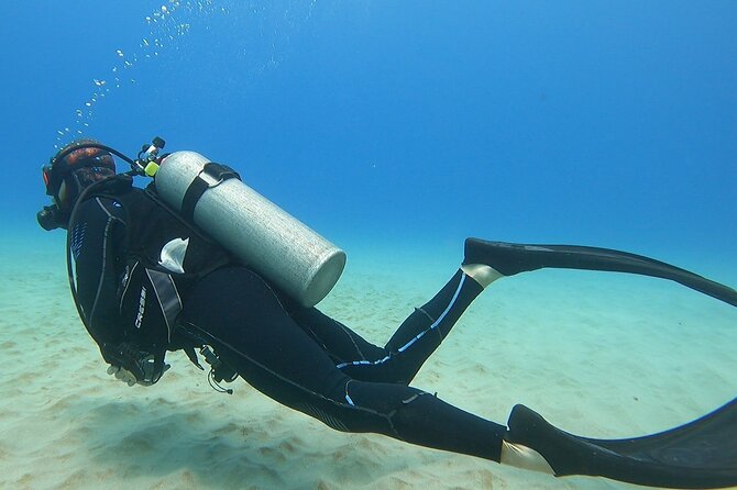 SCUBA Dive at Electric Beach with Photos -No Certification Needed - Randy and Talia: Why the Coaching Style Makes the Difference