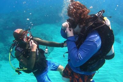 SCUBA Dive at Electric Beach with Photos -No Certification Needed - Kahe Point Reef Time: Sea Life You’re Likely to See