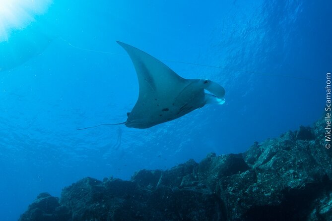 Scuba Dive at Ni’ihau (Forbidden island) - Ni’ihau’s Forbidden-Waters Vibe (and Why You Go at All)